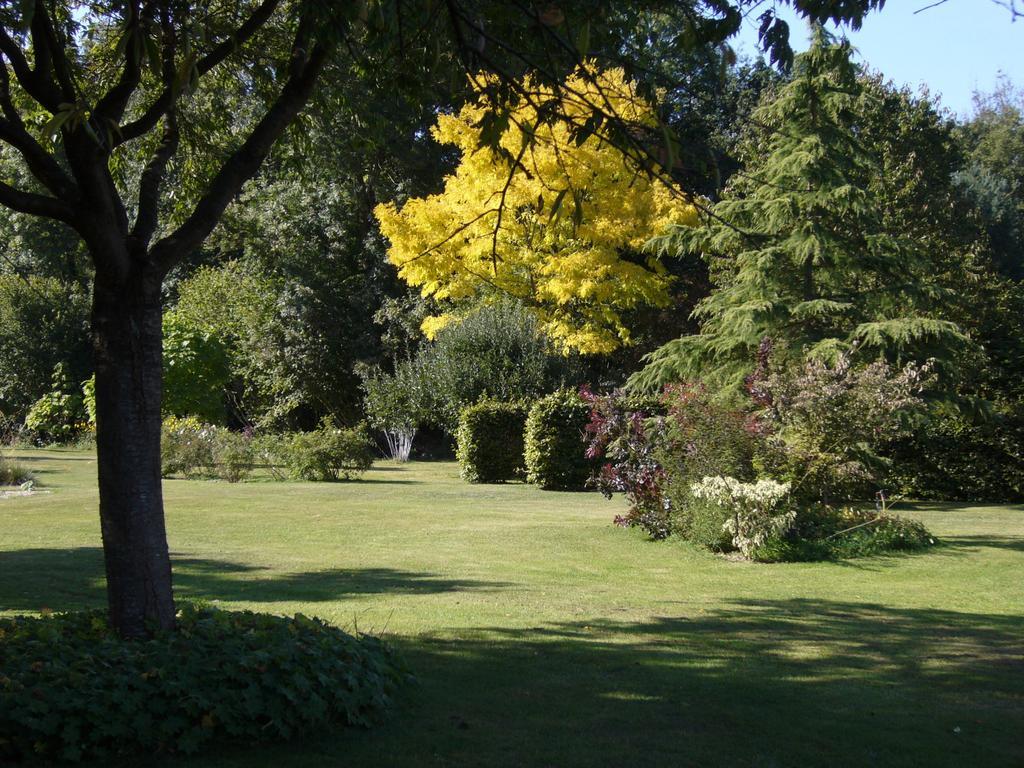 Les Jardins De L'Aulnaie Bed & Breakfast Fontaine-sous-Jouy Luaran gambar