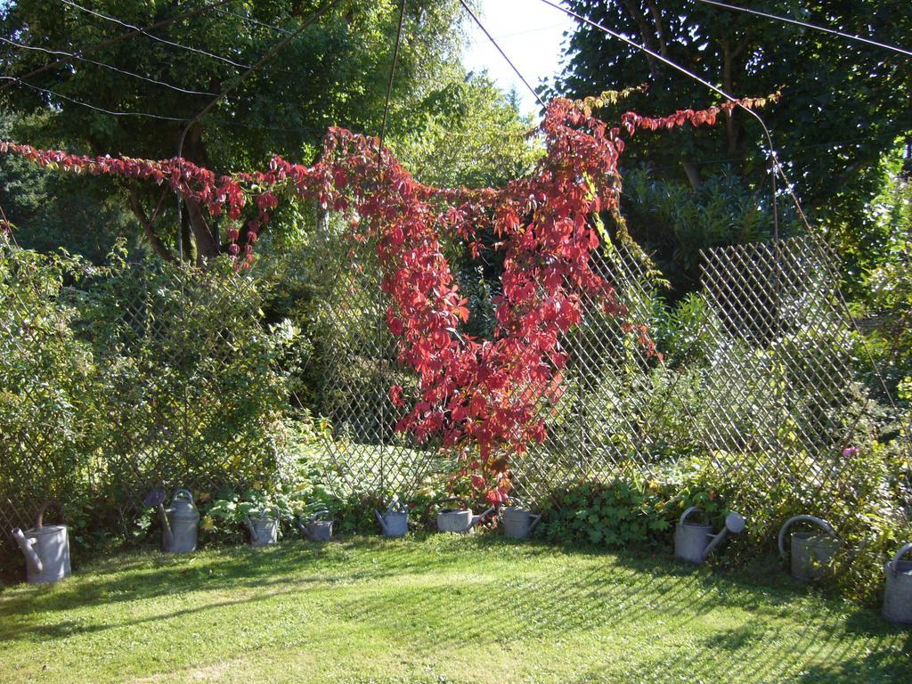 Les Jardins De L'Aulnaie Bed & Breakfast Fontaine-sous-Jouy Luaran gambar