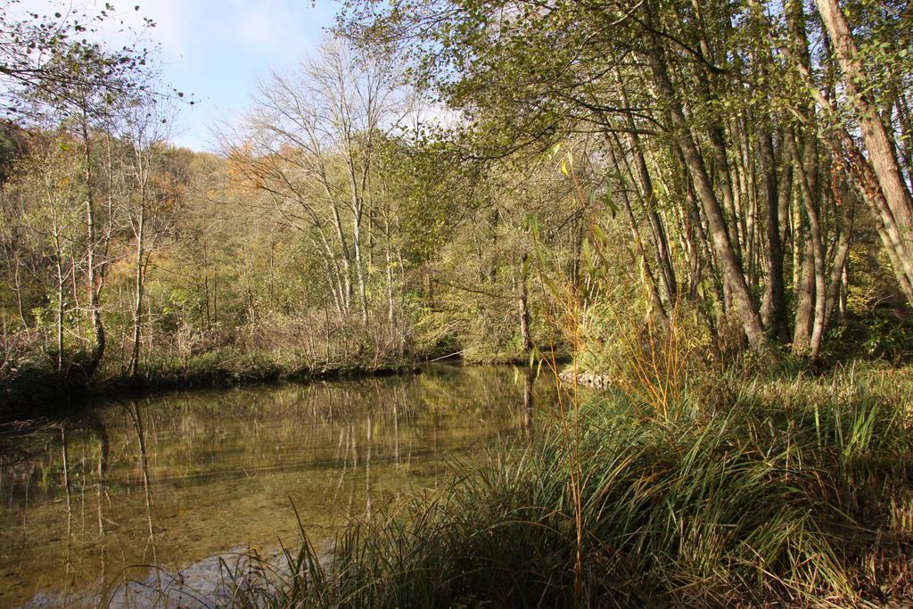 Les Jardins De L'Aulnaie Bed & Breakfast Fontaine-sous-Jouy Luaran gambar