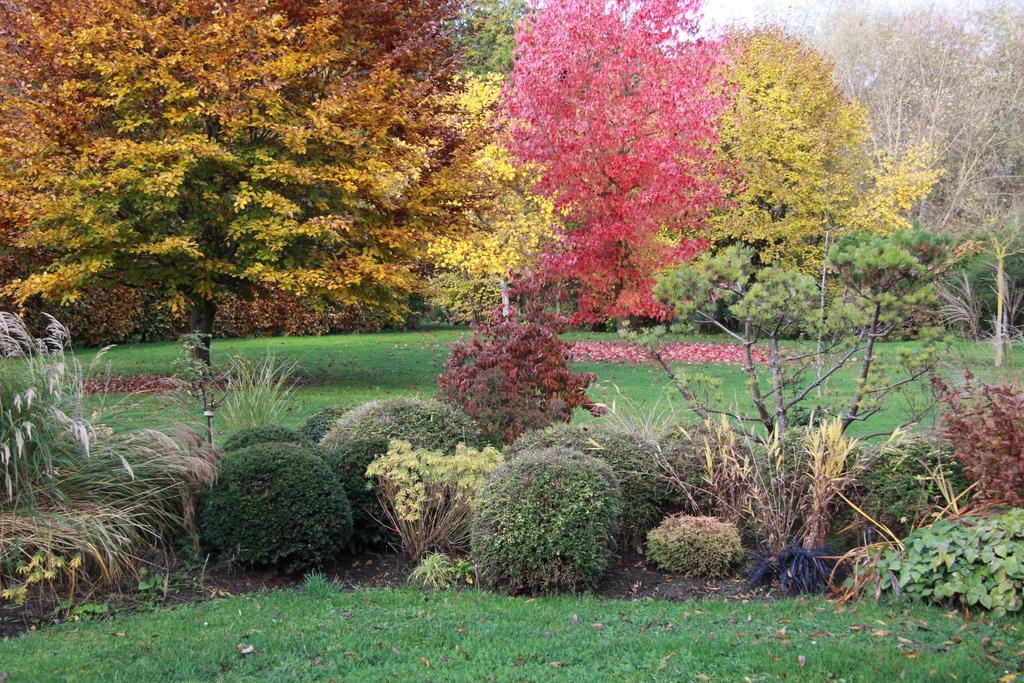 Les Jardins De L'Aulnaie Bed & Breakfast Fontaine-sous-Jouy Luaran gambar