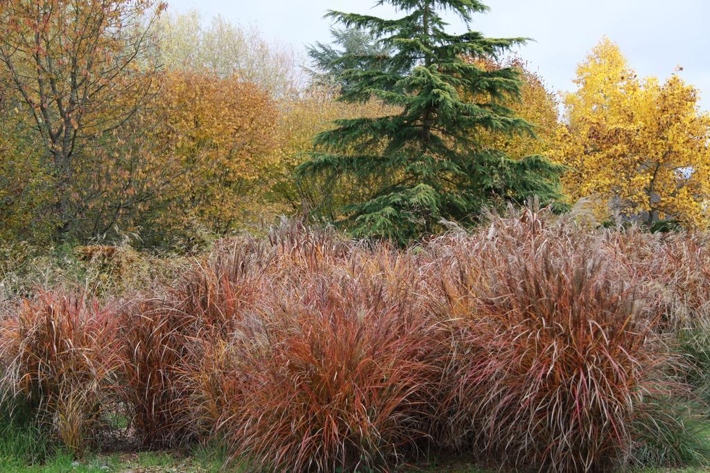 Les Jardins De L'Aulnaie Bed & Breakfast Fontaine-sous-Jouy Luaran gambar